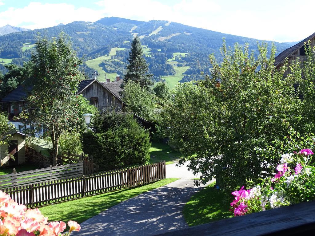 Ferienwohnung Schoenauer Хаус-им-Энншталь Экстерьер фото